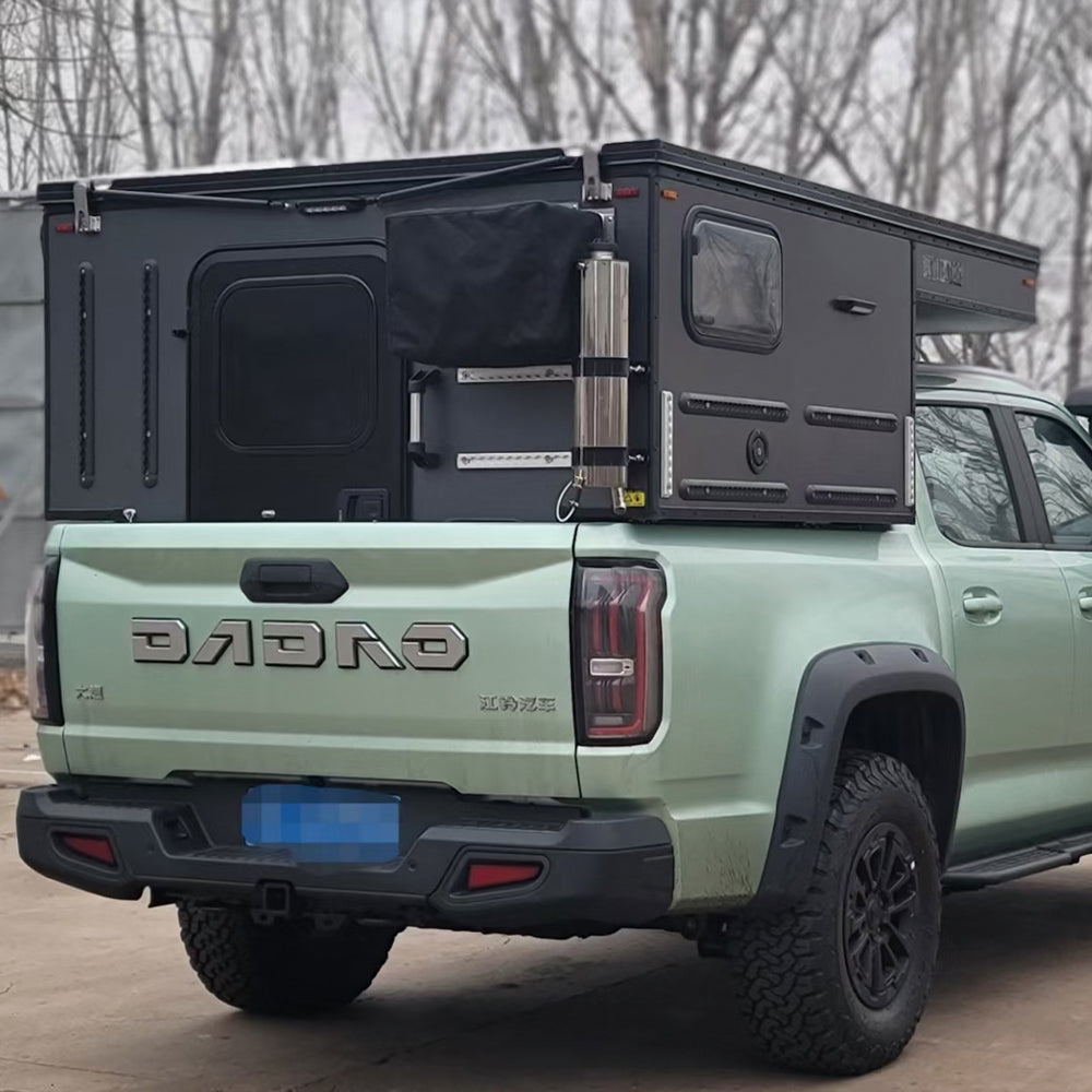 CUSTOMIZED MODEL——PIONEER 313